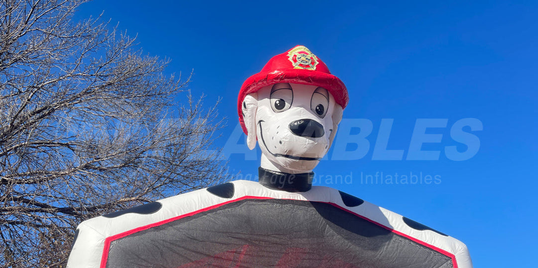 Dalmatian Bouncer™ (Large)