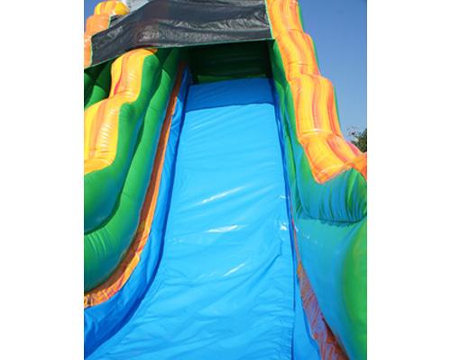19'H Palm Tree Slide Wet n Dry