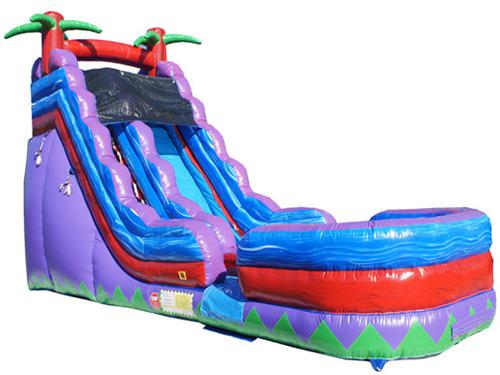 19'H Purple Slide Wet n Dry