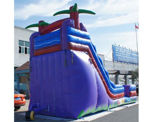 19'H Purple Slide Wet n Dry