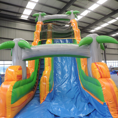 21'H Palm Tree Super Slide W n D