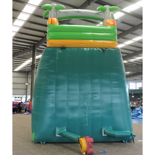 21'H Palm Tree Super Slide W n D