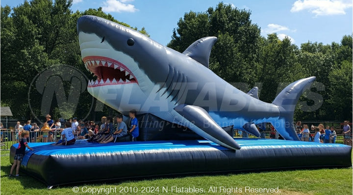 Inflatable Shark Photo Op
