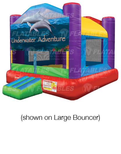Underwater Adventure™ Removable Art Panel