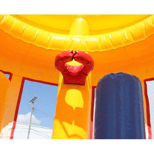 Birthday Cake Bouncer