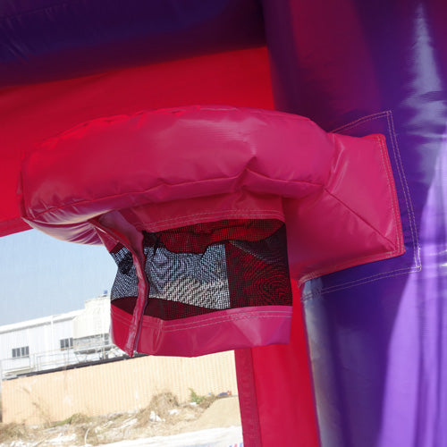 Pink Castle Bouncer