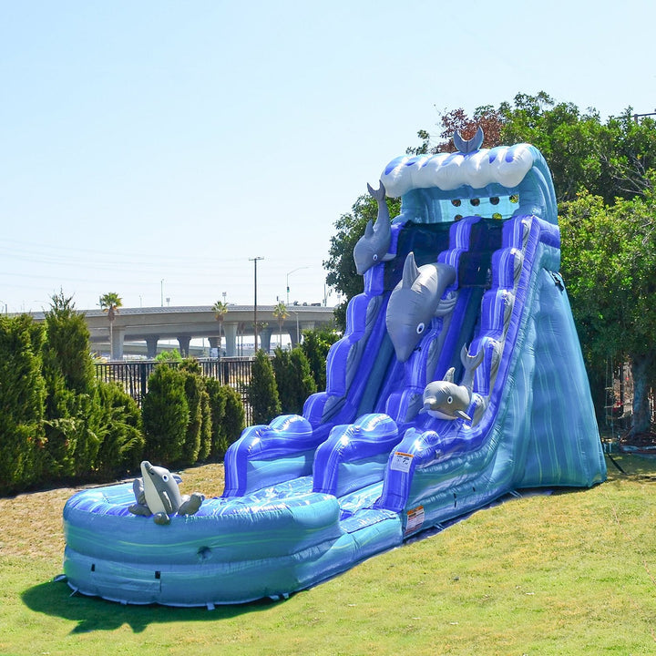 DOLPHINS 19 FT SLIDE