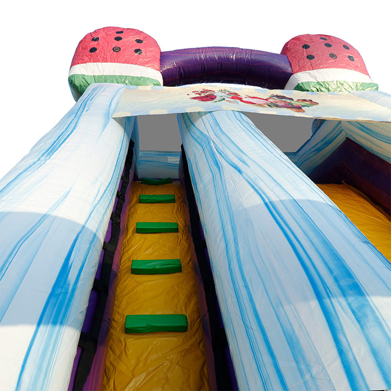 19'H Ice Cream Slide Wet n Dry with Removable Art Panel
