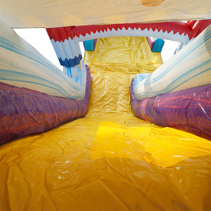 19'H Ice Cream Slide Wet n Dry with Removable Art Panel