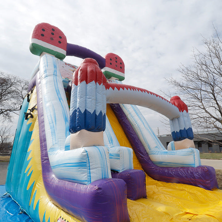19'H Ice Cream Slide Wet n Dry with Removable Art Panel