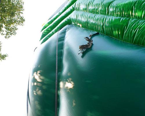 22'H Palm Tree Screamer Slide