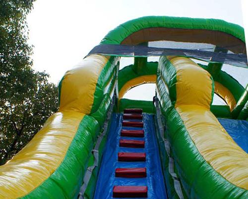 22'H Palm Tree Screamer Slide