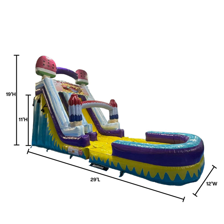 19'H Ice Cream Slide Wet n Dry with Removable Art Panel