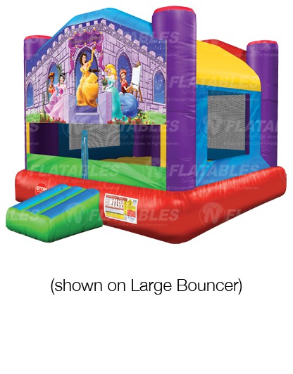 Princess Palace™ Removable Art Panel