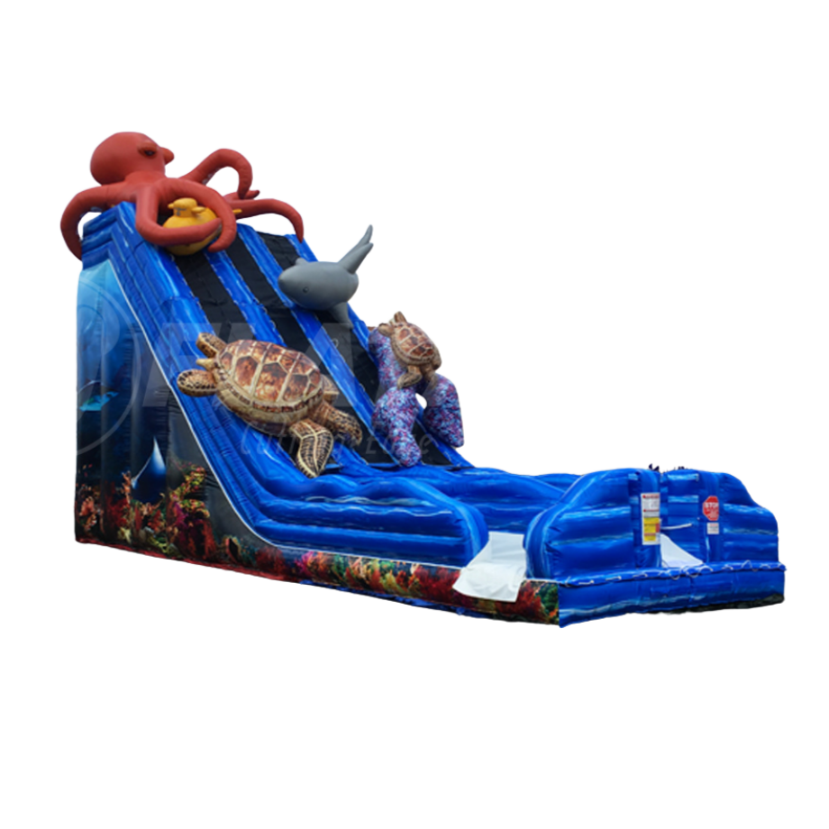 Ocean Quest™ (20’) Dual Slide