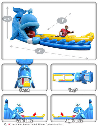 Wally Whale Jr.™ Water Slide